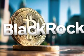 blackrock-etf-si-bitcoin-rallisiyle-gunluk-islem-18038379_4616_amp.jpg